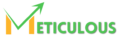 Meticulous consulting inc